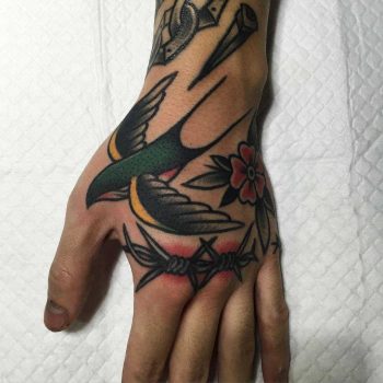 Swallow and barbed wire
