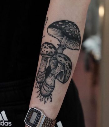 Three mushrooms by Roald Van Broek