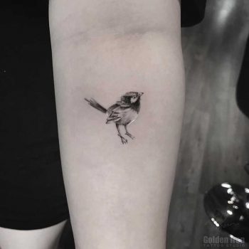 Tiny tit tattoo on the forearm