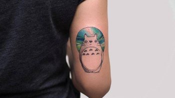 Totoro by baris yesilbas