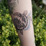 Turtle tattoo on the forearm