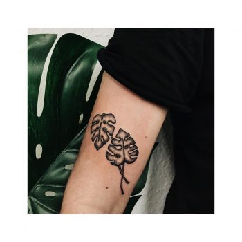 Two monstera leaves on the arm