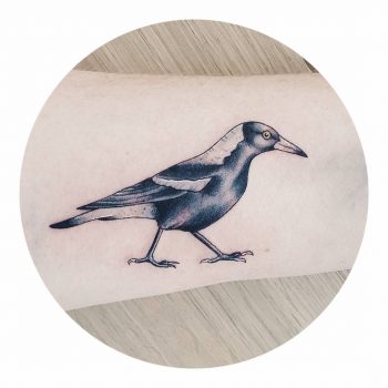 Australian Magpie tattoo