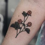 Cloudberry tattoo on the forearm