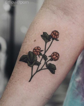 Cloudberry tattoo on the forearm