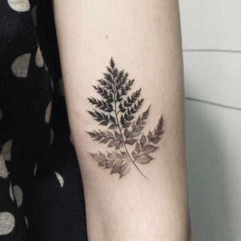 Dot-work branch with leaves by Zszywka Blackbear Studio