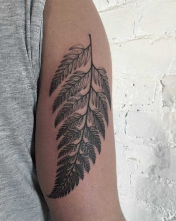 Fern leaf by Sasha Tattooing