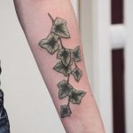 Ivy branch tattoo on the forearm