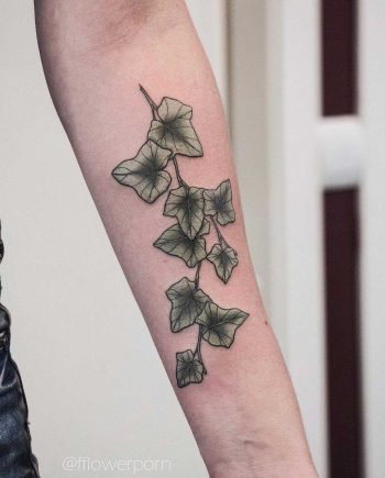 Ivy branch tattoo on the forearm