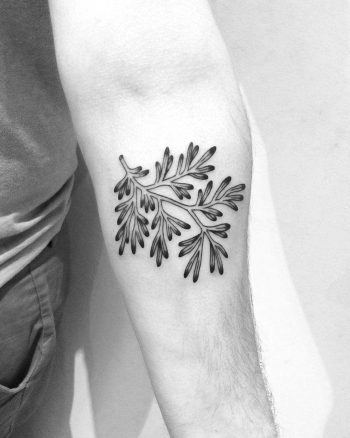 Nigella sativa tattoo
