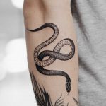 Small black snake on the forearm