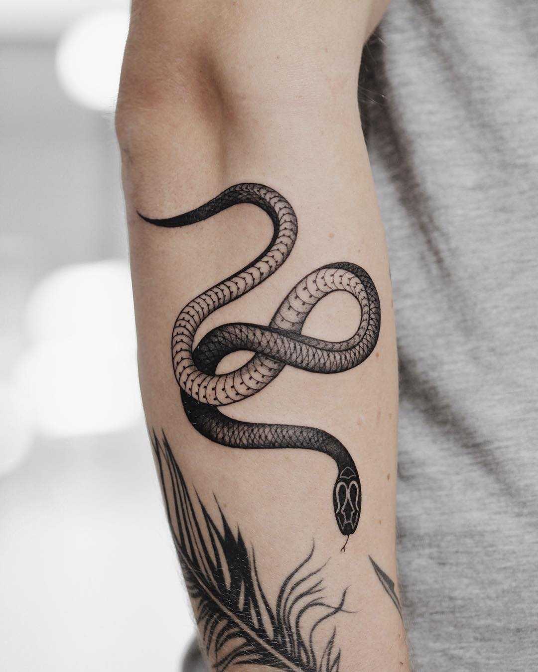 Small black snake on the forearm