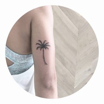 Small palm tree by artist Cholo