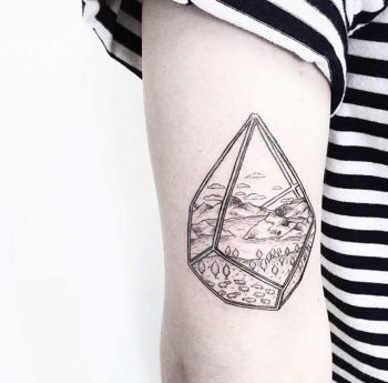 Small terrarium with a landscape