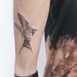 Swallow by Iris Tattoo Art