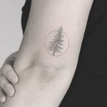 Tiny pine tree by Lindsay April