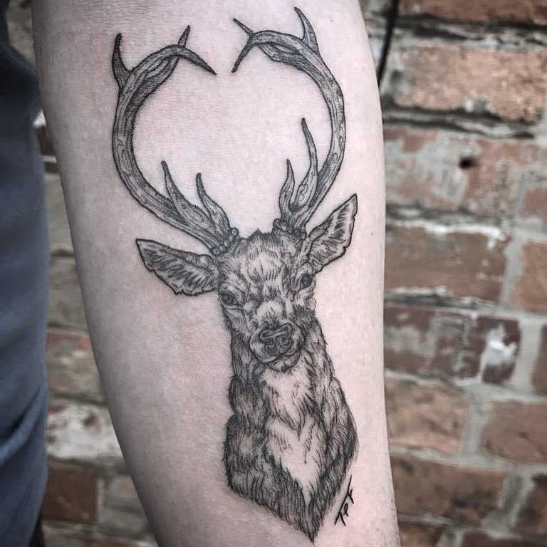 Blackwork stag tattoo