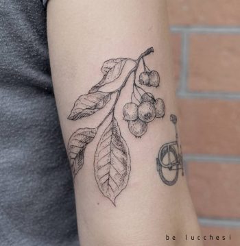 Branch with berries by Lucchesi done in Berlin