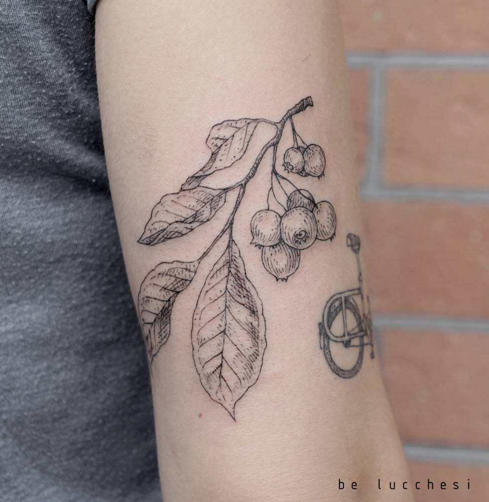 Branch with berries by Lucchesi done in Berlin