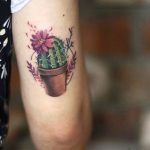 Colorful cactus in a flowerpot