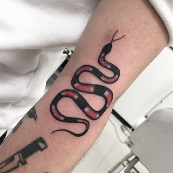 Coral snake tattoo