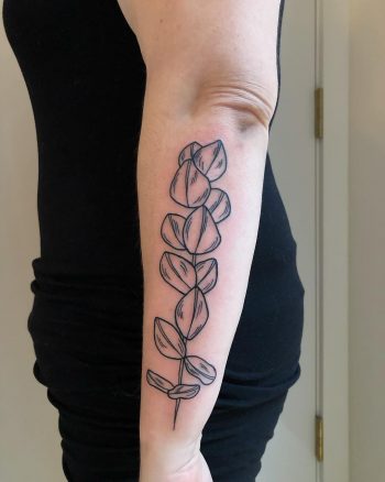 Eucalyptus tattoo on the forearm