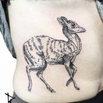 Fawn tattoo on the belly