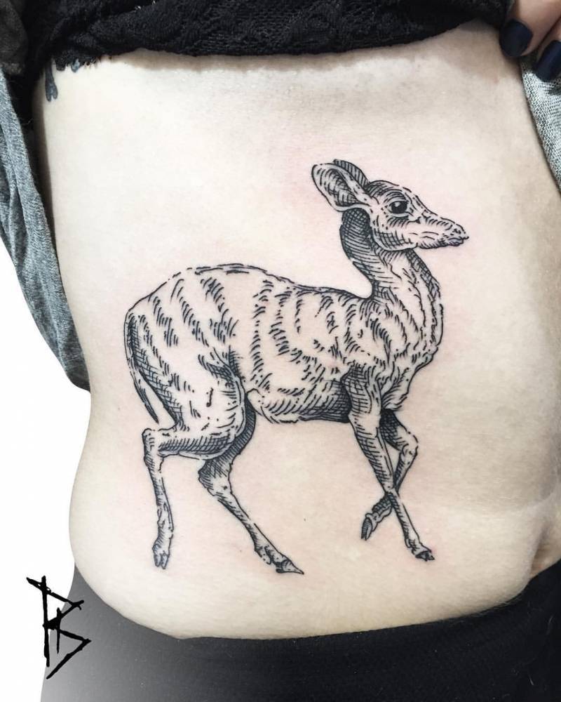 Fawn tattoo on the belly