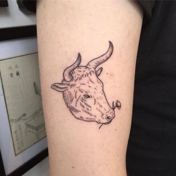 Ferdinand the bull tattoo