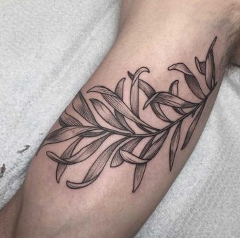 Fern tattoo by Rachel Hauer