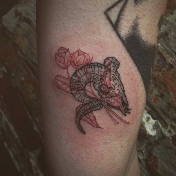 Goat skull and two roses tattoo