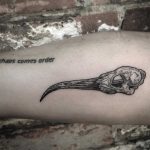 Ibis skull tattoo