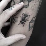 Little fly tattoo on the arm