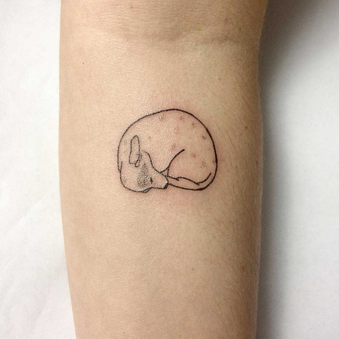 Lovely curled-up dog tattoo