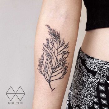 Seaweed tattoo