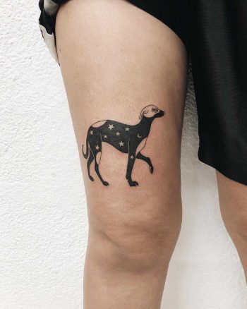 Starry dog tattoo