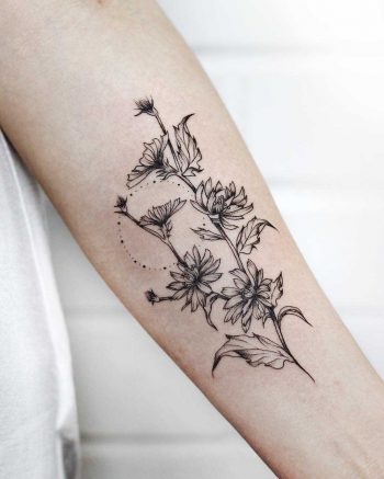 Succory branch tattoo on the forearm
