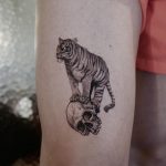 Tiger on a skull tattoo