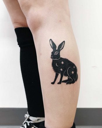 A shadow rabbit filled with sky