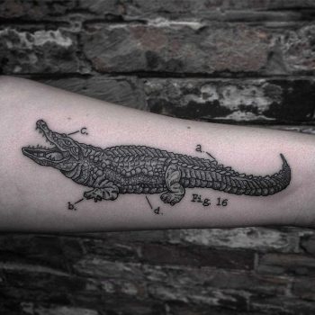 Black and grey aligator tattoo