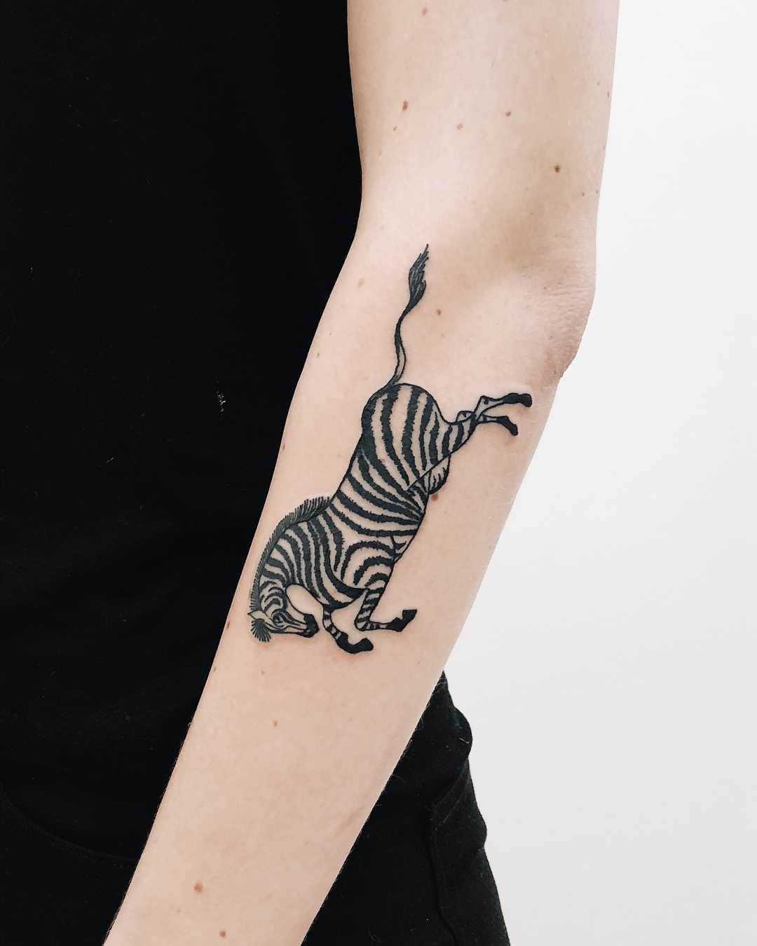 Cool zebra tattoo on the forearm - Tattoogrid.net