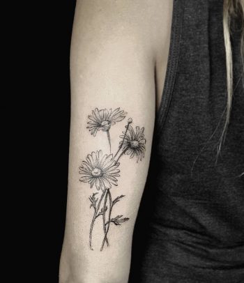 Daisies tattoo on the triceps