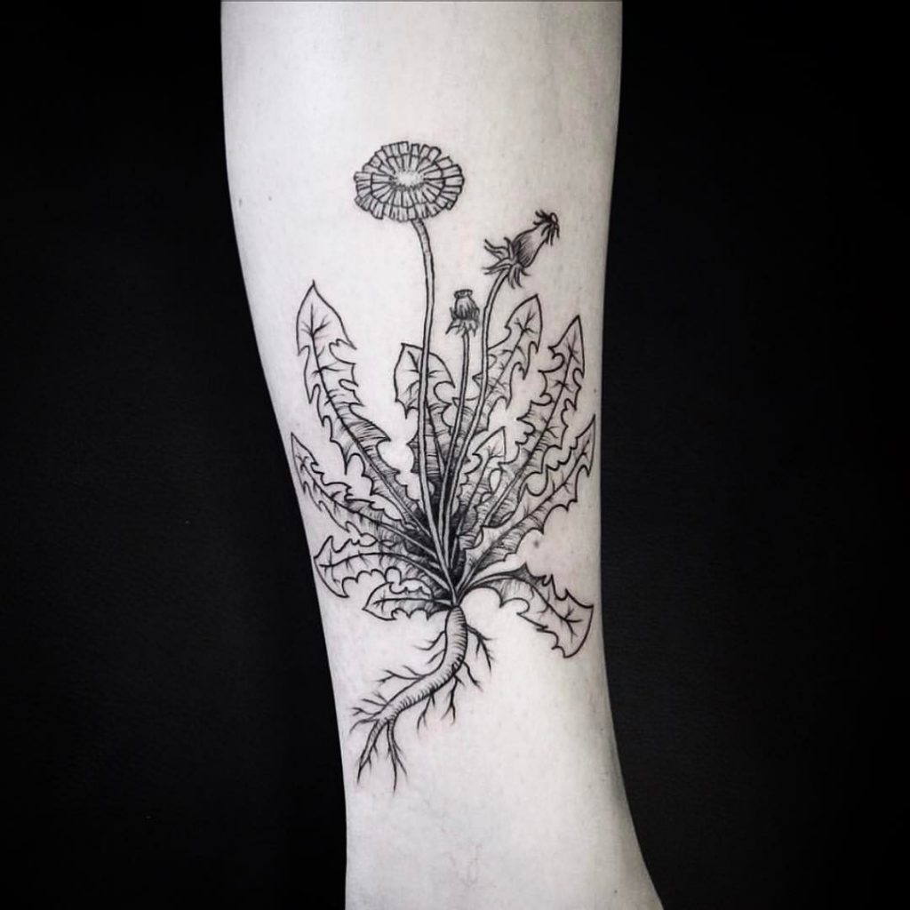 Dandelion tattoo by E.k.ek.tattoos