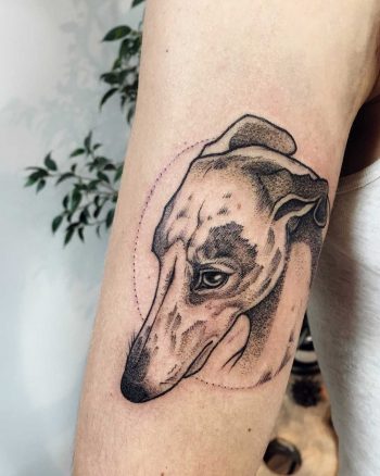 Dog portrait tattoo by Sasha