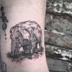 Drinking elephant tattoo