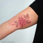 Little rose by Bryan Gutierrez