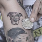 Micro pitbull portrait tattoo by Lindsay April