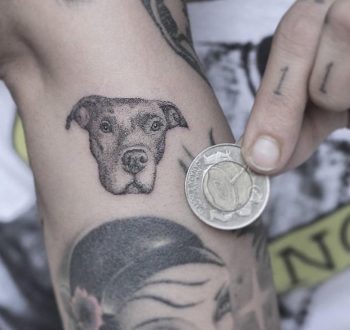 Micro pitbull portrait tattoo by Lindsay April
