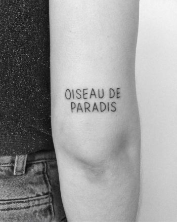 Oiseau de paradis tattoo