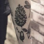 Pine cone and acorn tattoos
